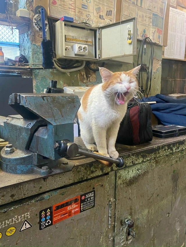 Гриша, дорогой, зевни-ка по красоте душевной, как ты и у?...