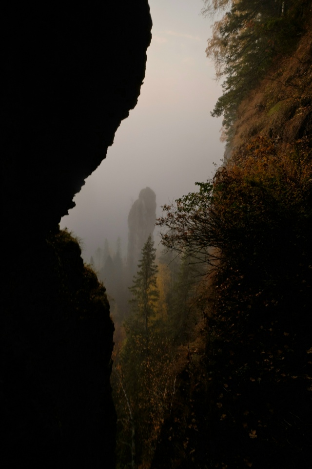 ? Золотая осень в Пермском крае
Фото: Ян Савицкий