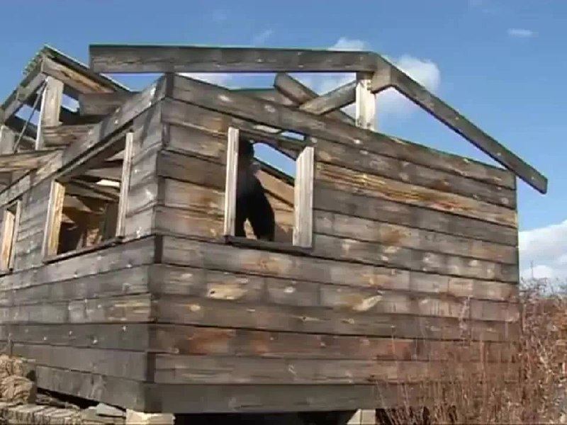 Россияне покупают старые избы для саморегуляции и заземления, рассказали психологи.
По их словам,