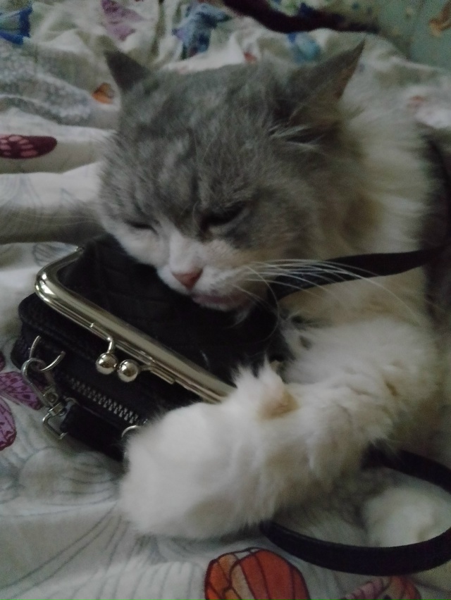 Вещь хозяйки, значит МОЯ