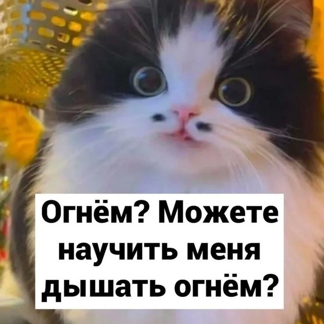 Психолог, который нам нужен