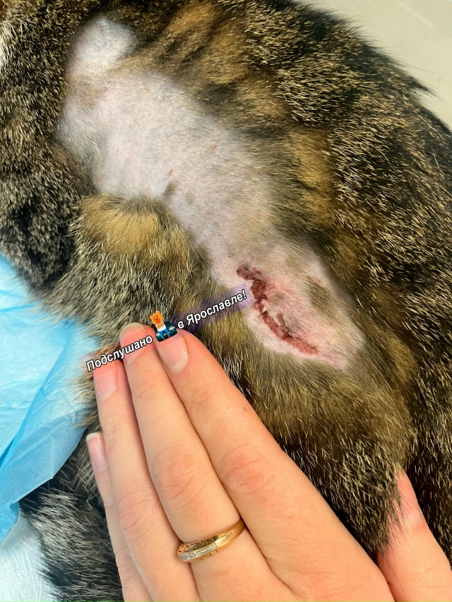 Здравствуйте! Прошу опубликовать пост с целью найти лю...