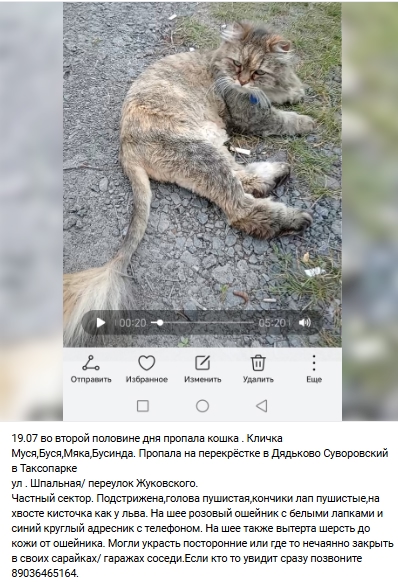 Пост добра. Распространите, пожалуйста.
СРОЧНО! По то?...