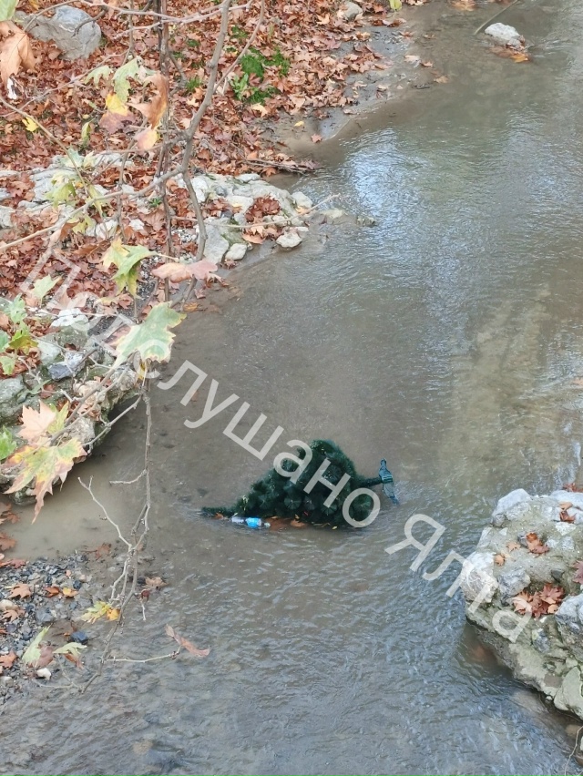 И что бы это значило? Кто-то в Ялте уже выбросил новогод...