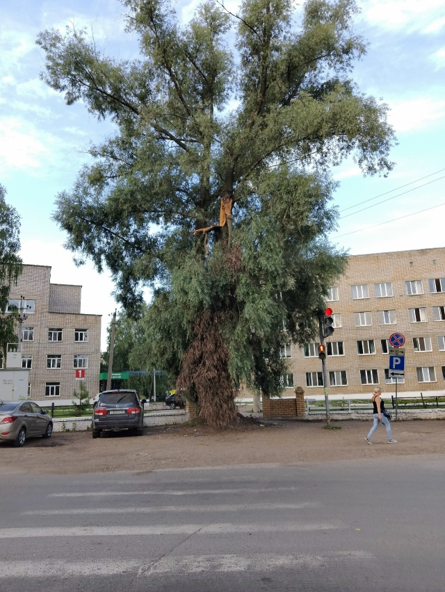 Уважаемая администрация города, обратите внимание на ?...