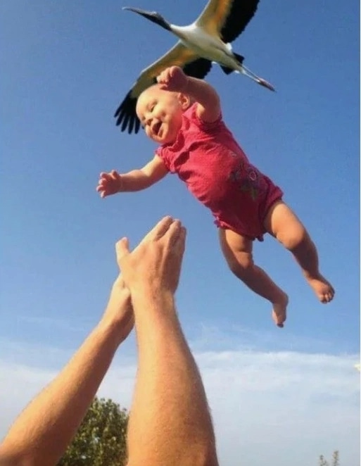 ⚡️? В России предложили «премию за скорость» за втор...