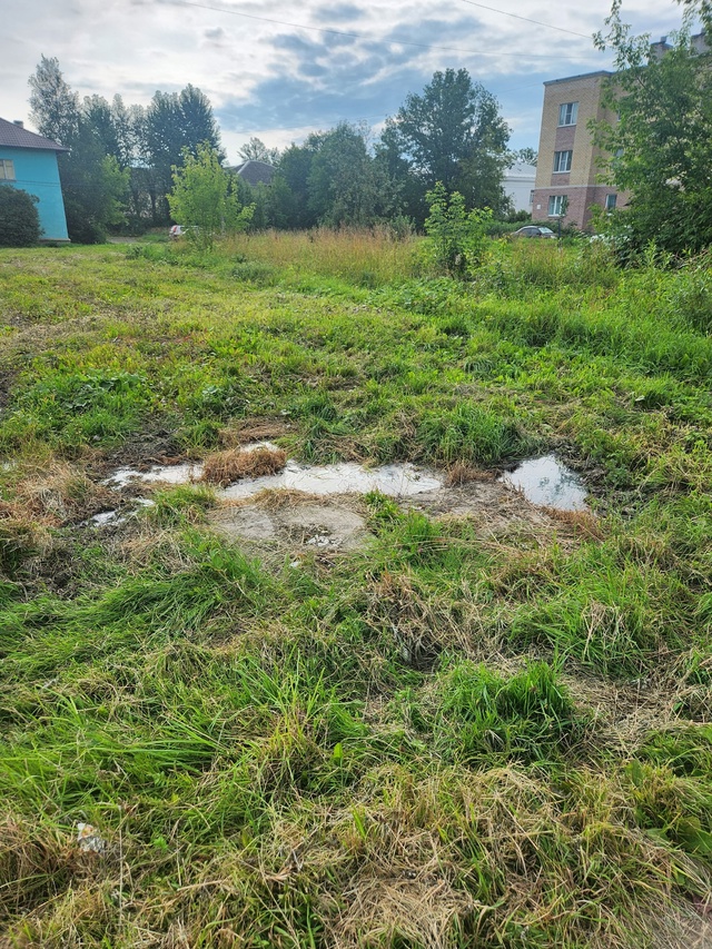 По ул.Работниц уже месяц течёт канализация. Мимо пройт...