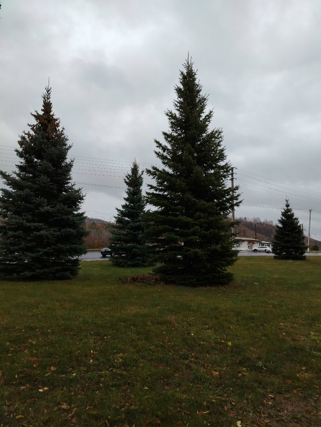 А дождь идёт а дождь идёт...