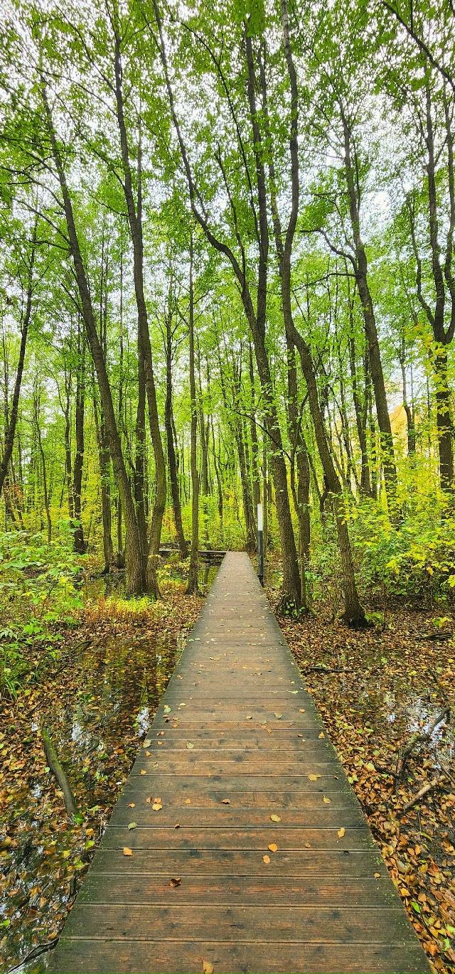 Осень в Балашихе😍