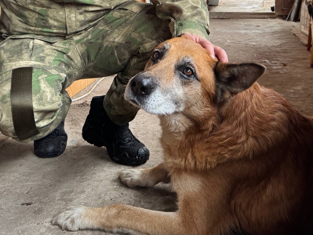 Глава Березников Алексей Казаченко рассказал о текуще...