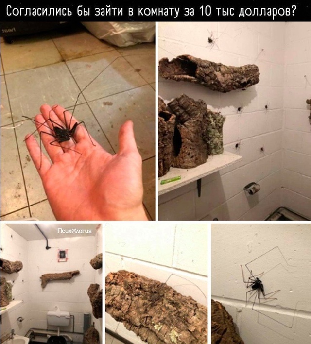 У меня мурашки от одного фото 🤪