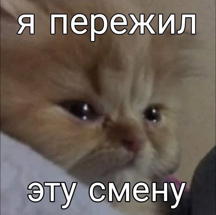 Утренняя подборочка