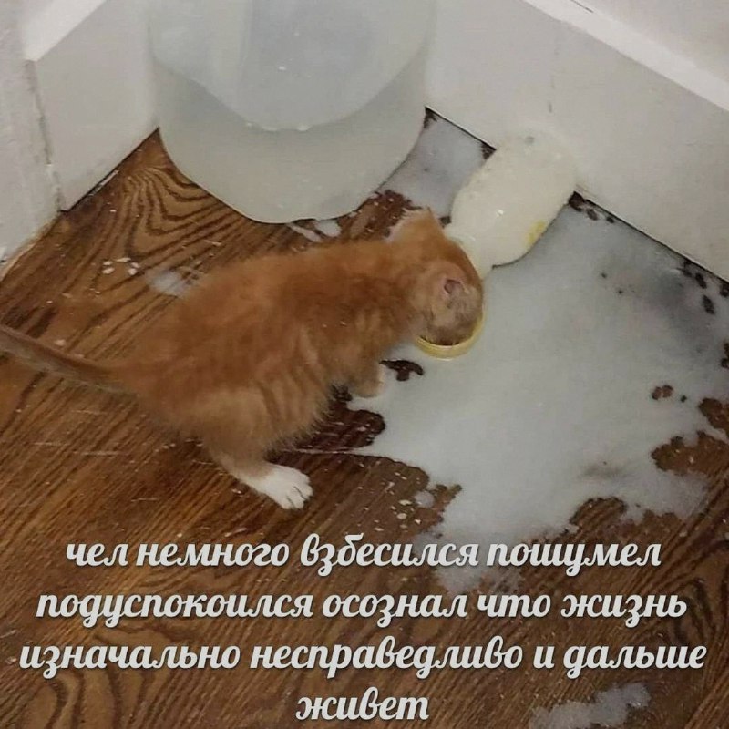 Ночная подборочка
Спать, режим