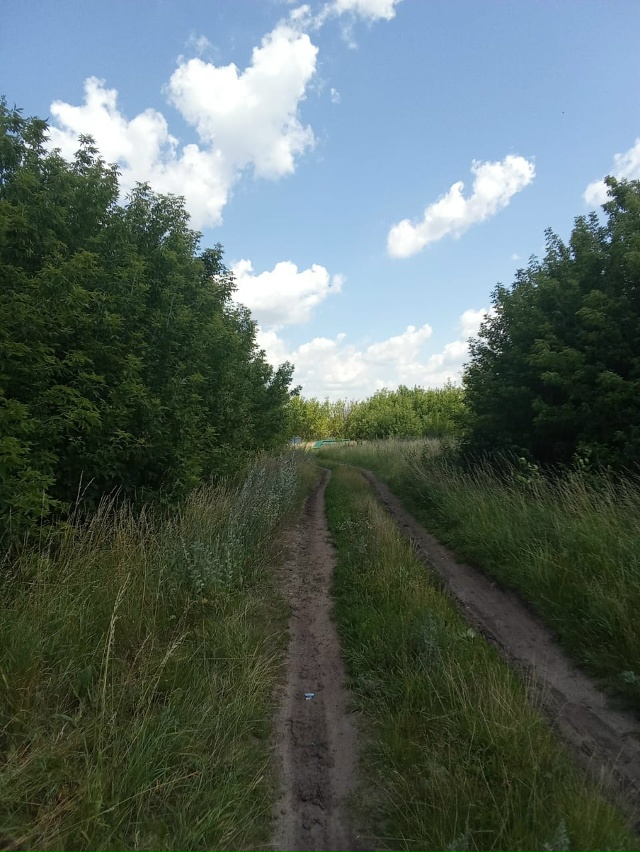 ‼Жители деревни Большое Шумаково бьют тревогу из-за з?...