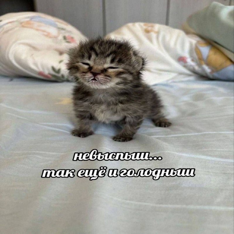 Утренняя подборочка