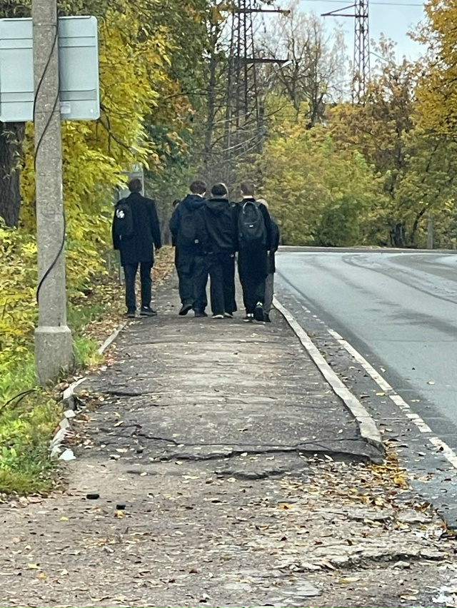 Не могу назвать иначе,но это самые настоящие обезьяны.
...