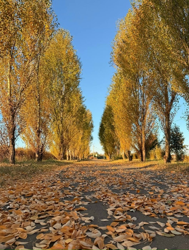 🍁Осенний Бузулук