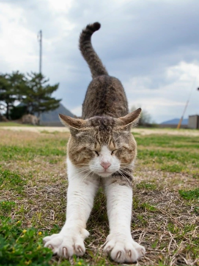 Доброе утро!