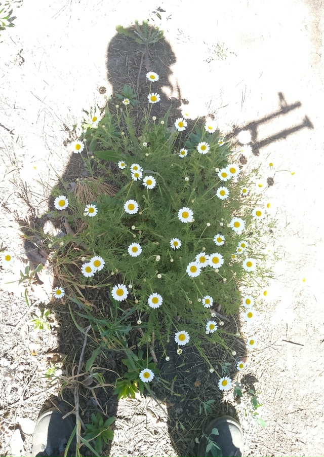 Нас не сломать за правду до конца хоть и в душе росту ро...