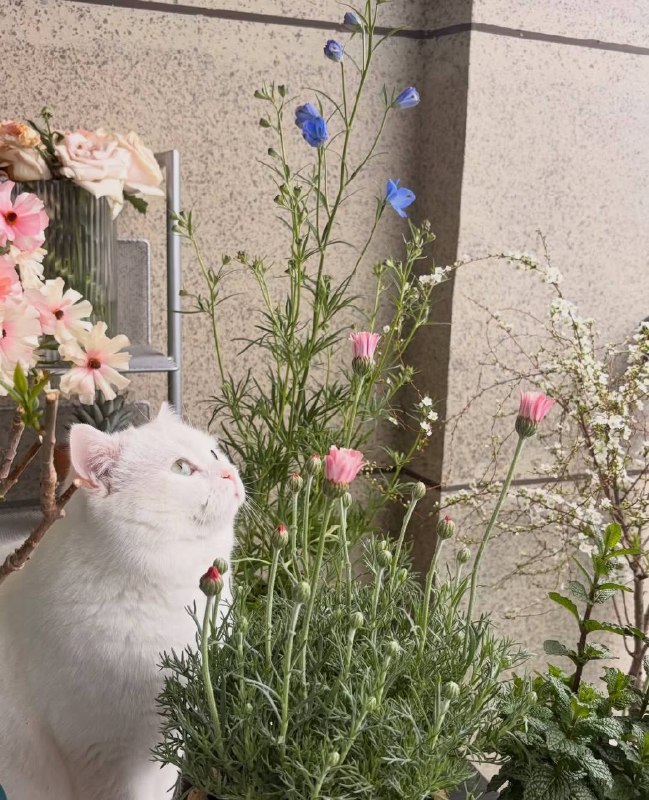 Фотосинтезируем