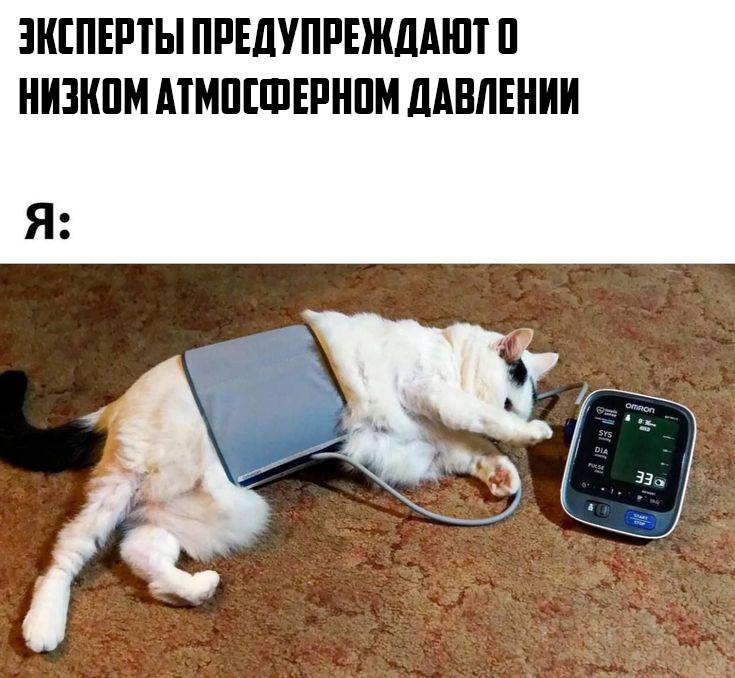Экстремально низкий уровень атмосферного давления в Москве — 734 мм рт. ст., что стало вторым минима