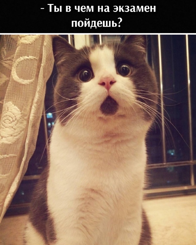 =»»