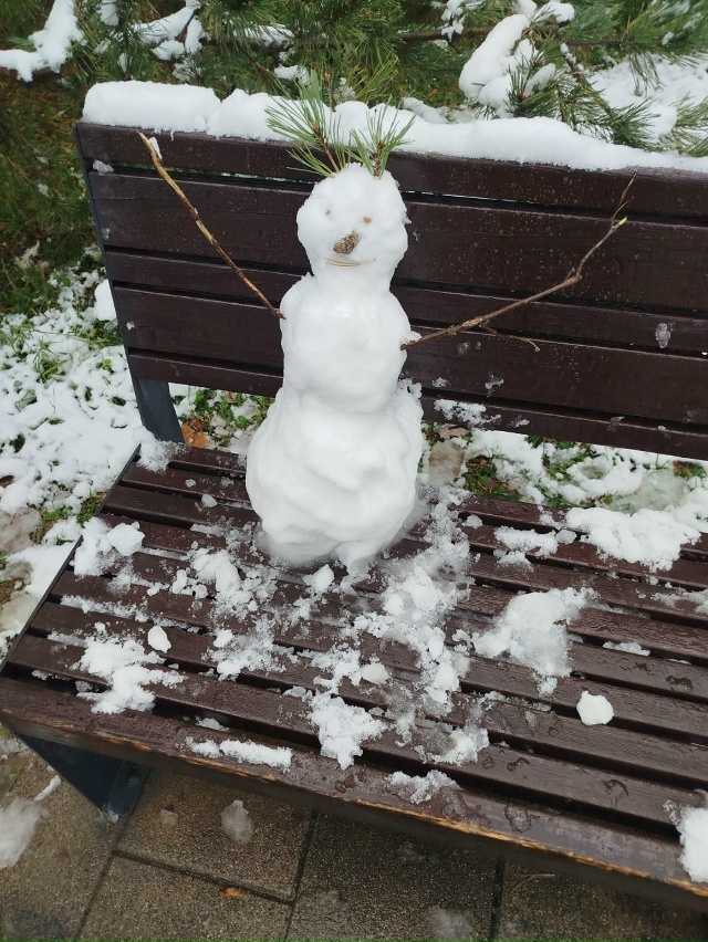 Ловите подборку первых зимних снеговиков
Часть из ни...