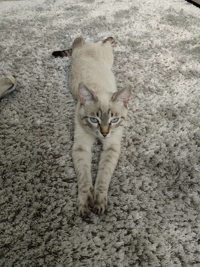 Наш ребёночек😻😻😻