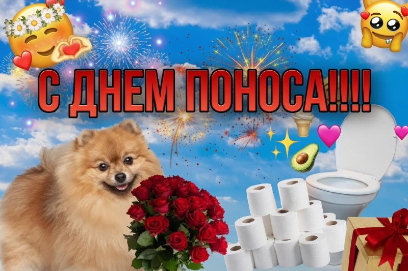 В Нью-Йорке зафиксированы первые летальные случаи от вспышки «взрывной диареи» — NYP