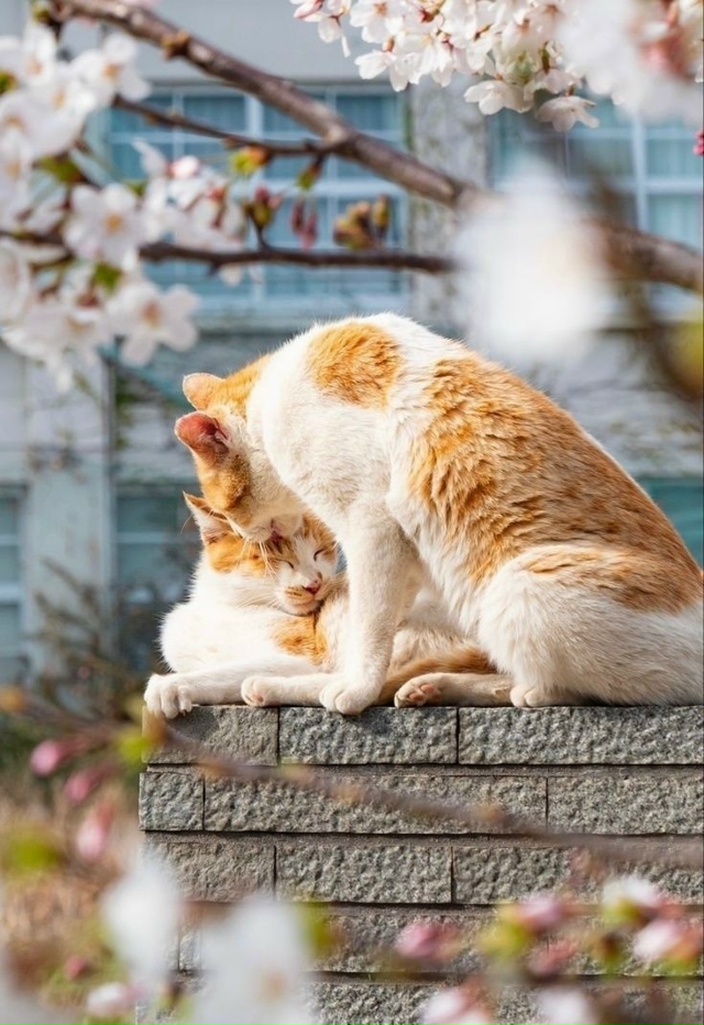 Миром правит любовь ❤