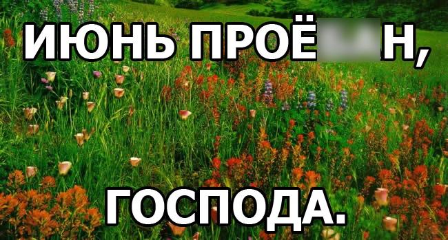 Поздравляем вас с перым профуканным летним месяцем.