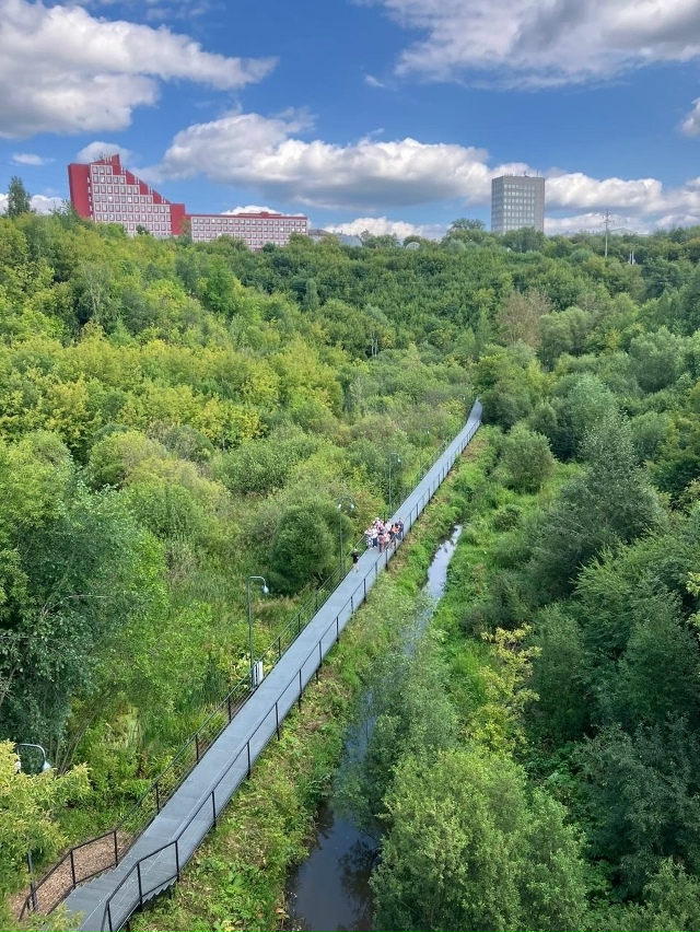 Пермская экотропа 🌳
📷 Елена Васильева