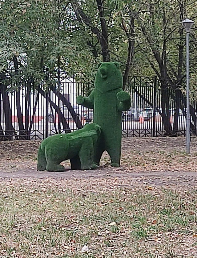 Медведи смущают москвичей — в Сокольниках завелись но...