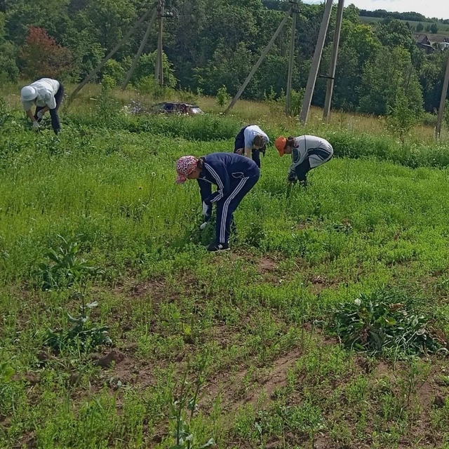 ? Ребята из села Трун Чернушинского района возрождаю?...