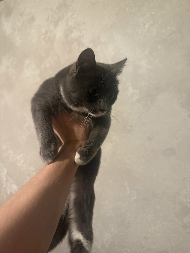 В районе железнодорожного вокзала Пермь II обнаружен и ...