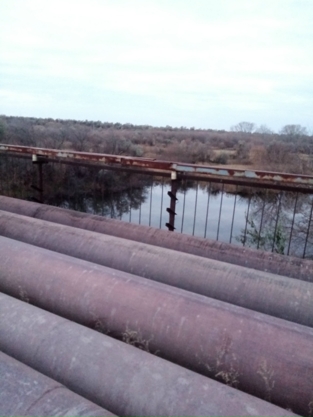 Немного позитива в ленту.На снимках-октябрь 2025 года на ...