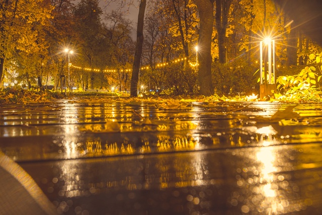 Вечерний, влажный и блестящий Воронеж🍂🌇