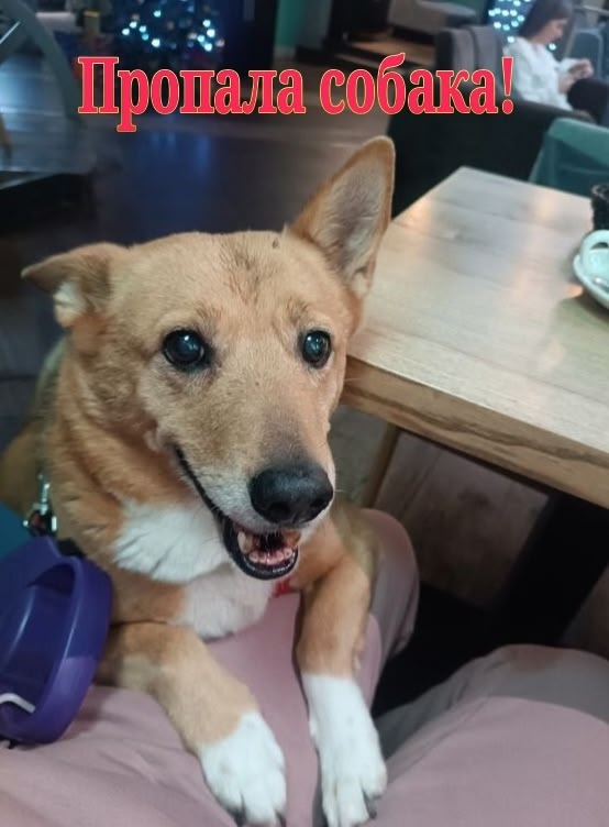 📢📣Нижегородская область. Борский район. Воскресенск...