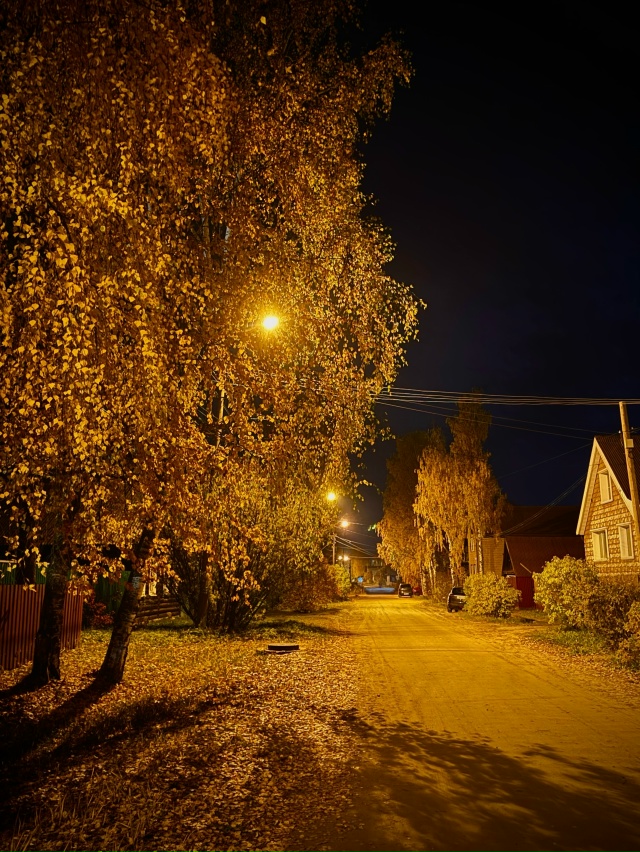 Красота! ❤
анон пжл
#Я_тебя_видел@podslushano_velsk