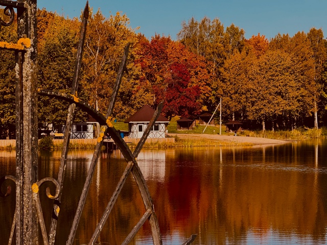 Осень золотая🍁