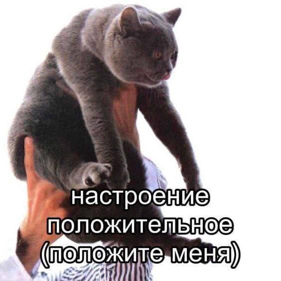 доброе утро..