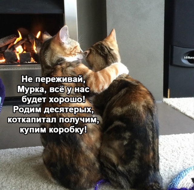 Зачем переживать, все же будет хорошо