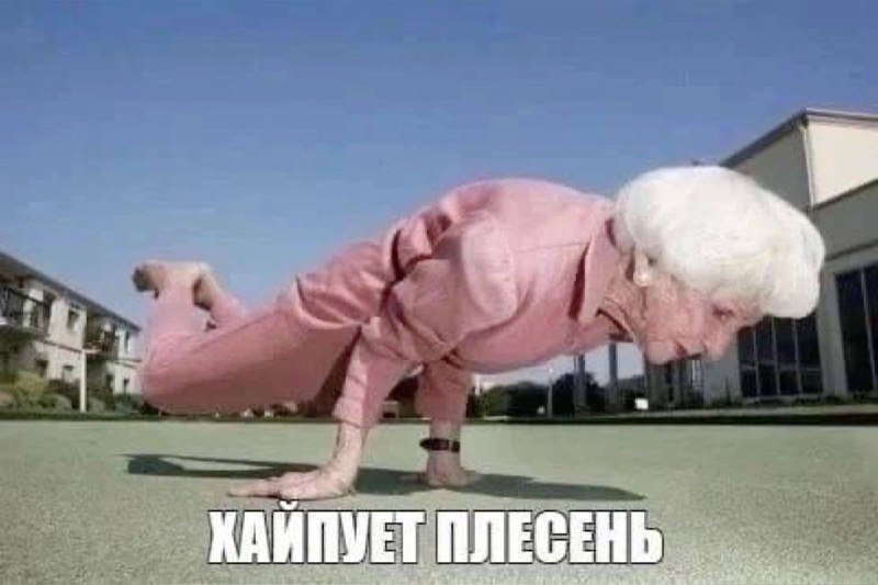 как я себя чувствую, снимая тикток или рилс после 20: