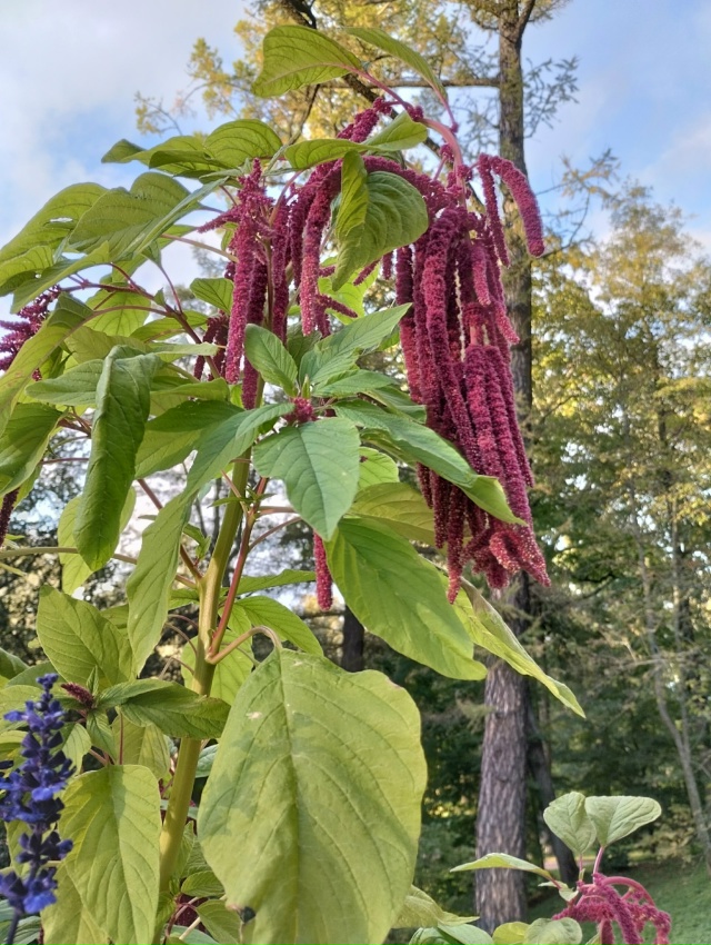 Прогулка по Александрии в тёплый сентябрьский денёк. 27...
