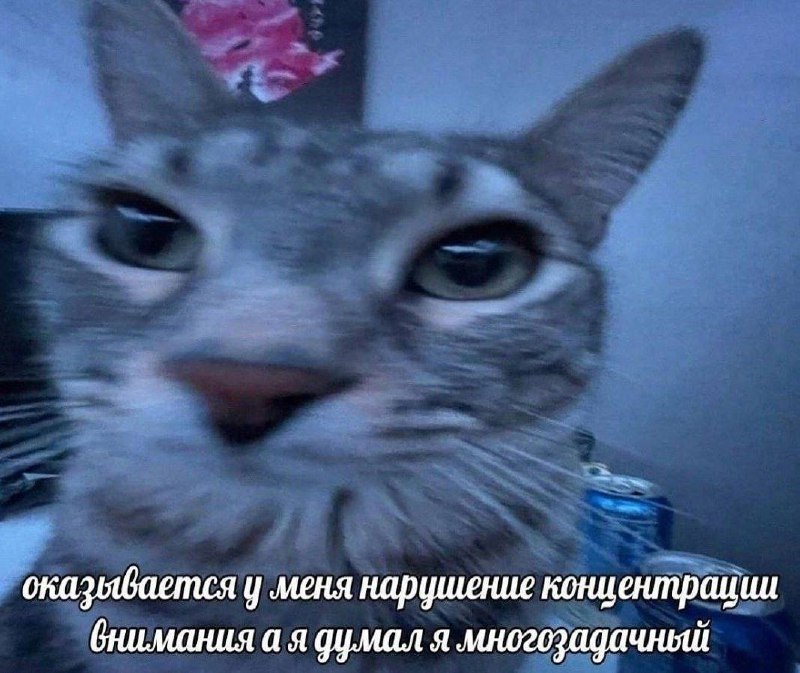 Утренняя подборочка