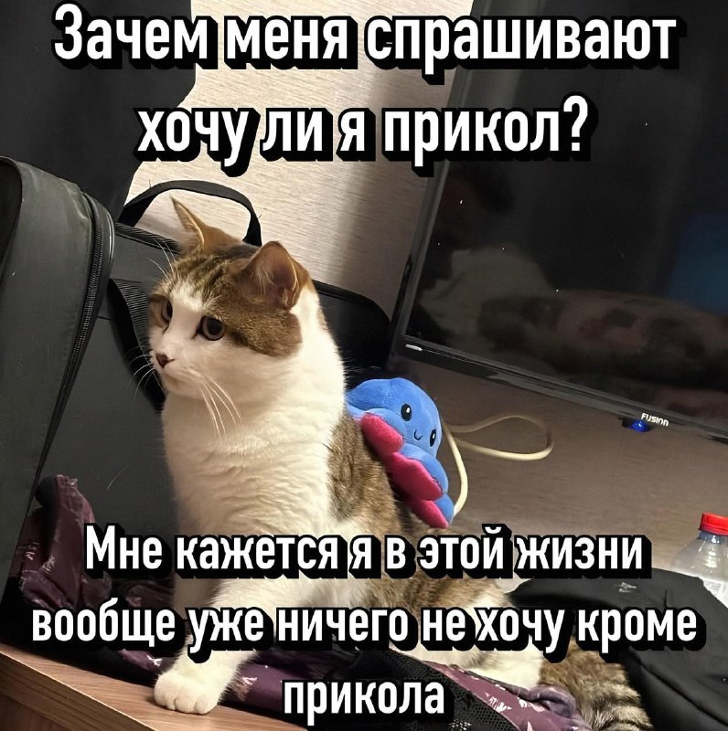 Утренняя подборочка