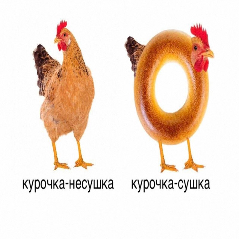 Утренняя подборочка