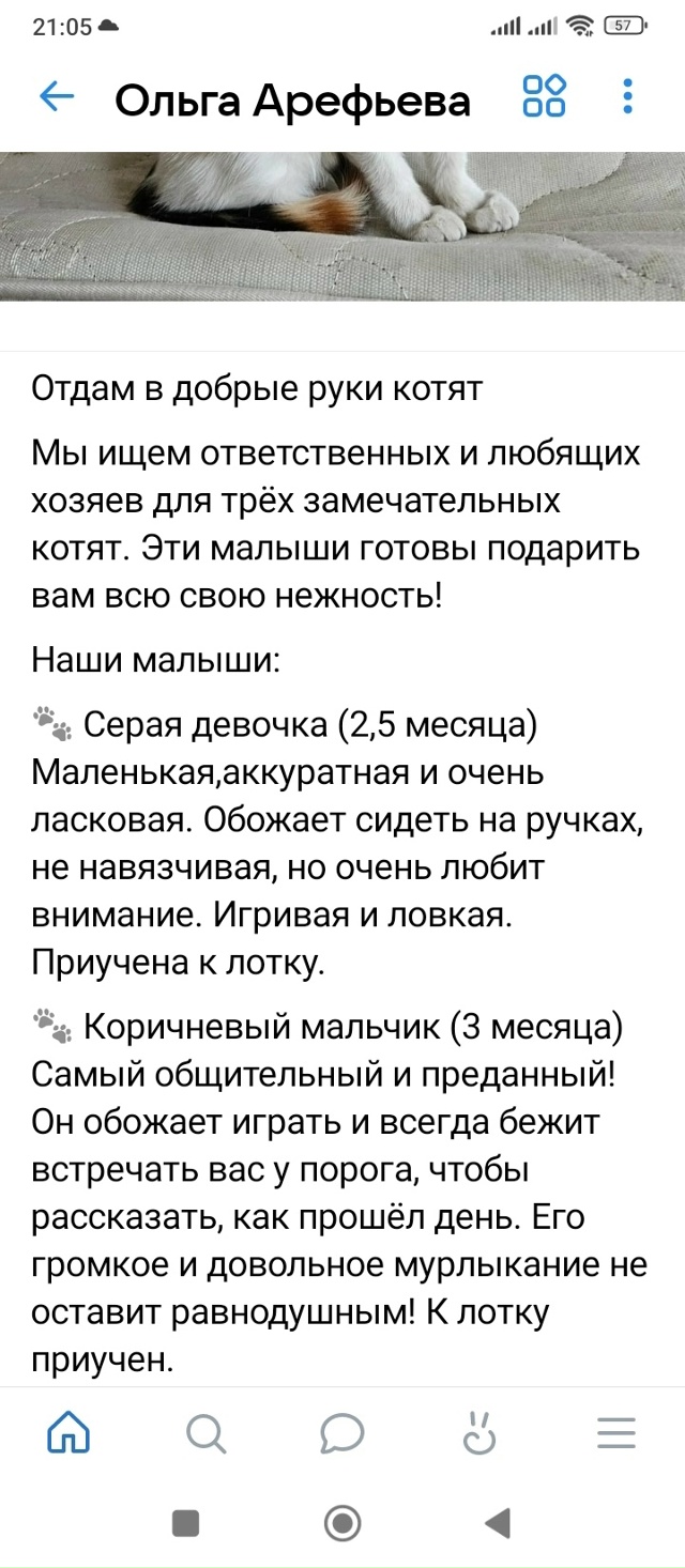 Хозяин, найдись!!! Просьба отозваться неравнодушных лю?...