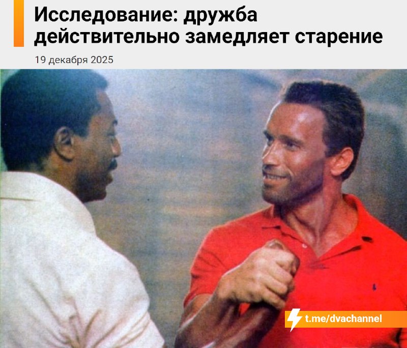 Дружба реально замедляет старение, подтвердили учёные на примере дельфинов
Оказалось, что крепкие и