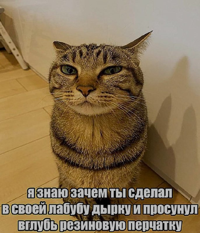 Ночная подборочка
Спать, режим